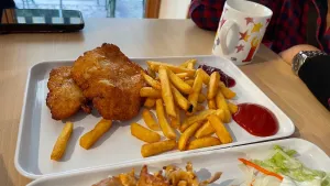 Kebap Haus Zur Schmied'n