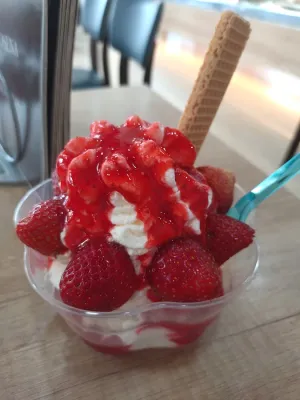 Eismosena