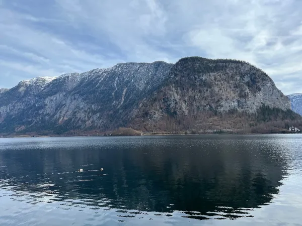 Bild von Aron Hsiao