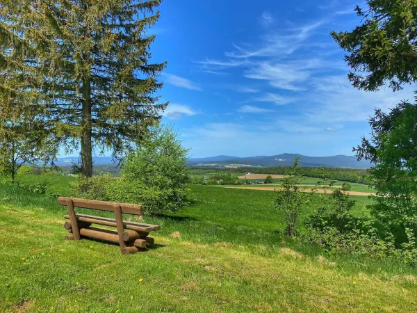 Bild von undefined