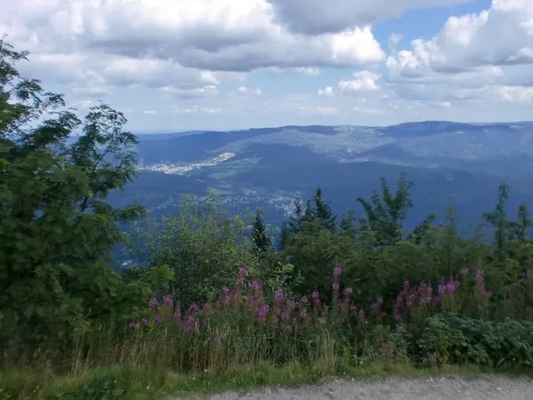 Bild von undefined