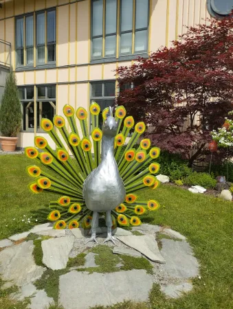 Bild von undefined