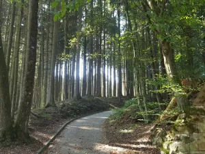Fischerwirt