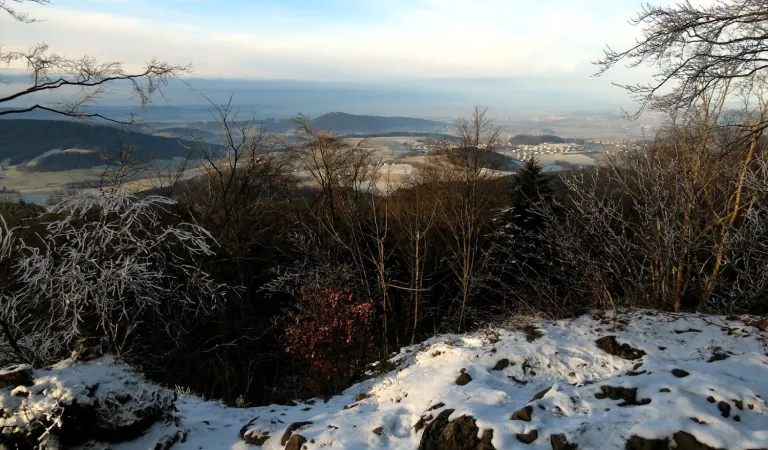 Bild von undefined