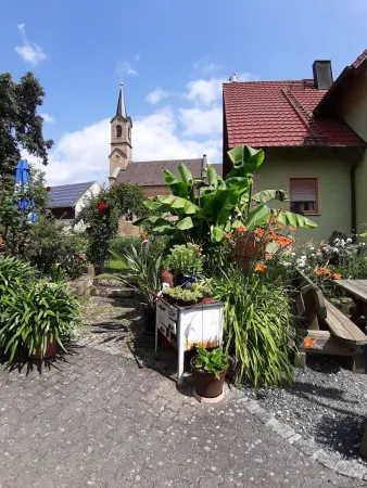 Bild von undefined