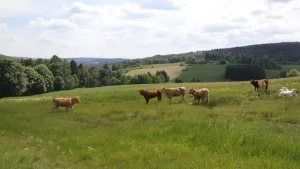 Gaststätte Güntsch