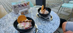 Eisbar Goldkronach