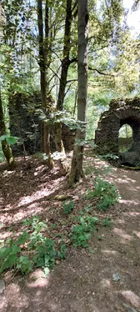 Bild von Gaststätte zur Burgruine - Fam. Stumpf