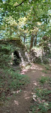 Bild von Gaststätte zur Burgruine - Fam. Stumpf