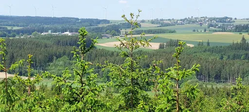 Bild von Gaststätte zur Burgruine - Fam. Stumpf