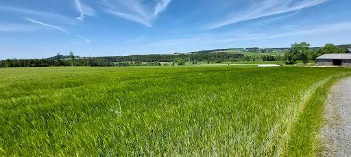 Bild von Gaststätte zur Burgruine - Fam. Stumpf