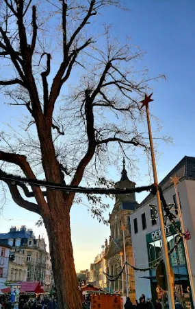 Bild von Brauereischänke am Markt