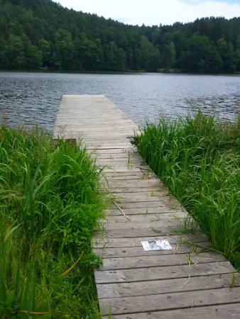 Bild von Kiosk am Blaibacher See (geöffnet Mai bis Oktober)