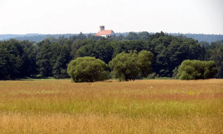 Bild von undefined