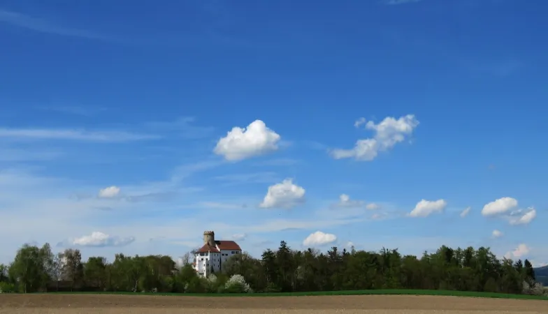 Bild von undefined