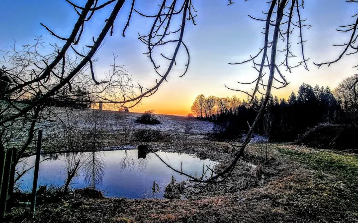 Bild von undefined
