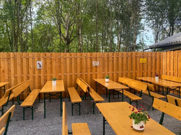 Bild von Giftbüdele