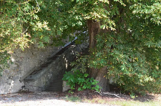Bild von Schlossbrauerei Thierlstein