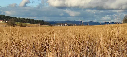 Bild von Schlossbrauerei Thierlstein