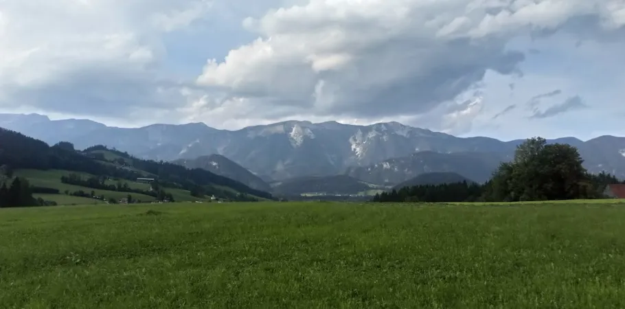 Bild von Gerald Netzl