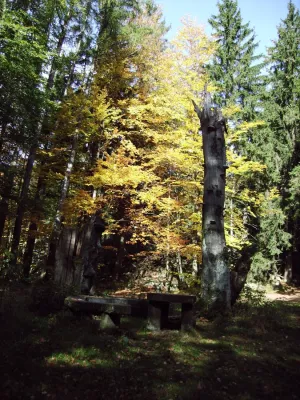 Naturfreundehaus