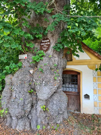 Bild von Münchsmühle