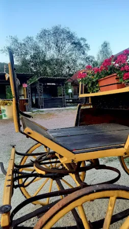 Bild von Moserhof-Ranch
