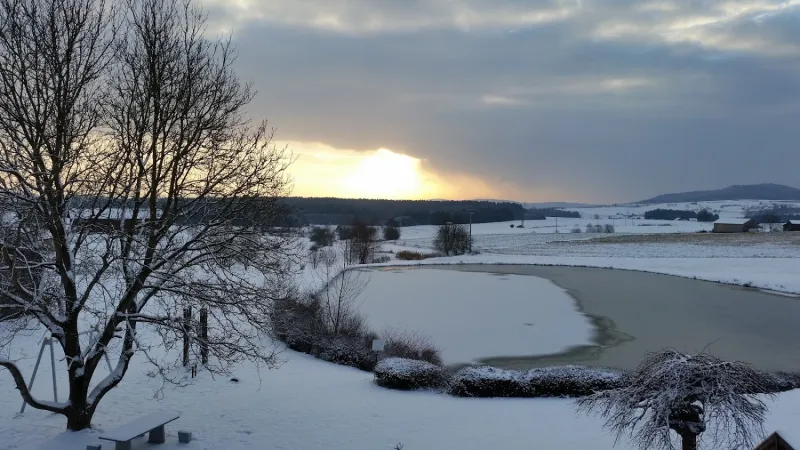 Bild von undefined