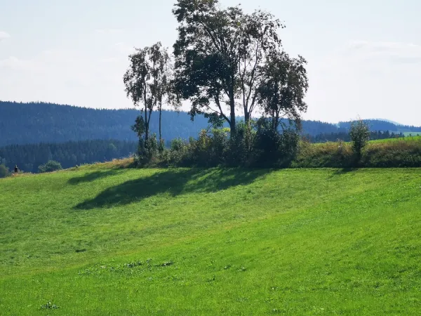 Bild von undefined