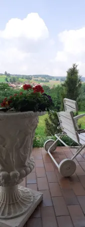 Bild von undefined