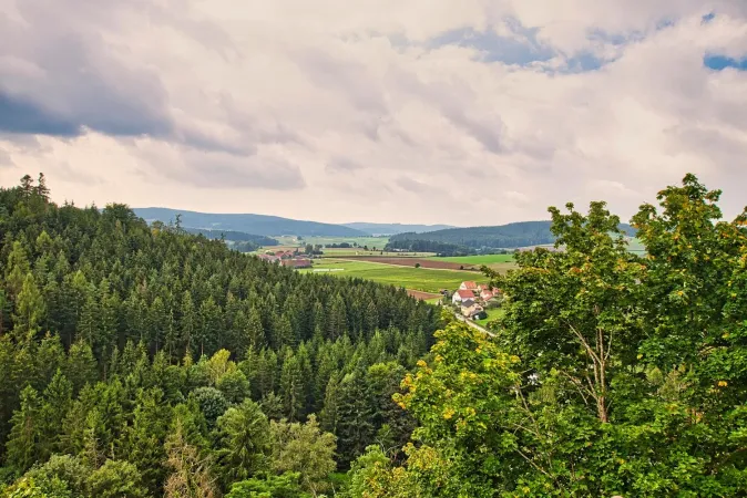 Bild von Johann Wagner