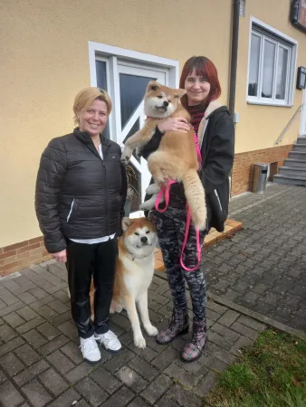 Bild von undefined