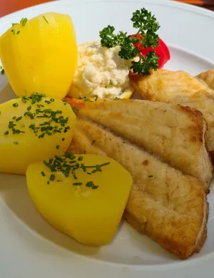 Gaststätte Glöckner